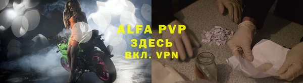 эйфоретик Горняк