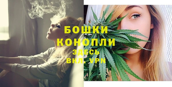 гидропоника Вяземский