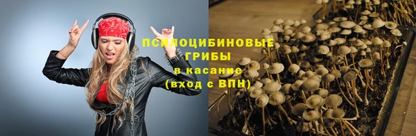 мяу мяу мука Семилуки