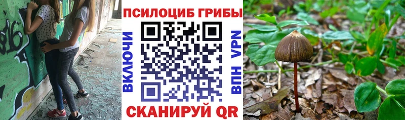 Псилоцибиновые грибы ЛСД  Дальнегорск 