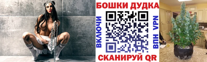 Бошки марихуана семена  Дальнегорск 